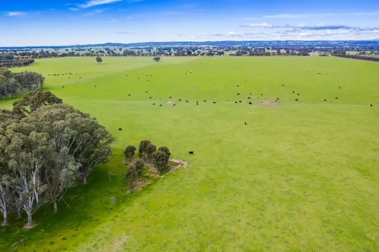Fourth view of Homely rural property listing, Federation Way, Boorhaman VIC 3678