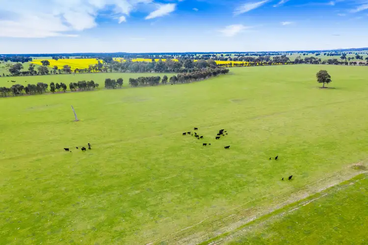 Fifth view of Homely rural property listing, Federation Way, Boorhaman VIC 3678