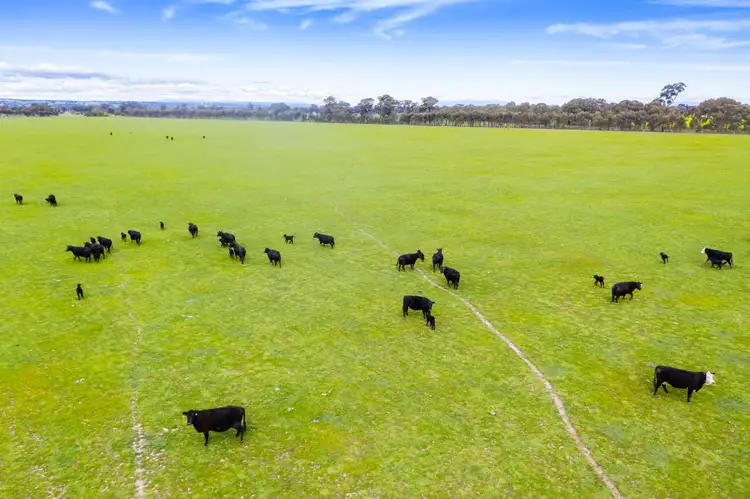 Sixth view of Homely rural property listing, Federation Way, Boorhaman VIC 3678