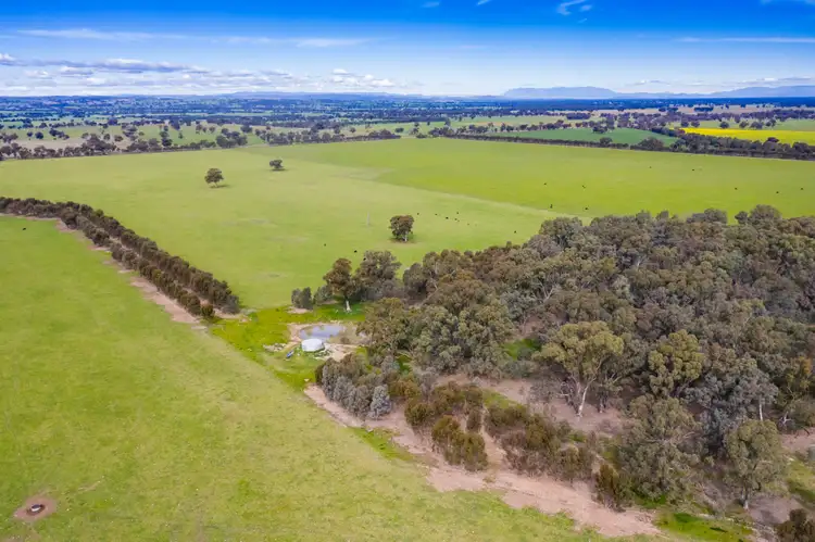 Seventh view of Homely rural property listing, Federation Way, Boorhaman VIC 3678