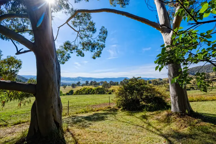Fourth view of Homely rural property listing, 619 Hellhole Creek Road, Kergunyah VIC 3691