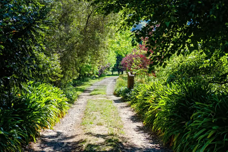 Seventh view of Homely rural property listing, 619 Hellhole Creek Road, Kergunyah VIC 3691