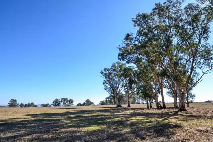 Seventh view of Homely rural property listing, LOT 1 Byrne Lane, Barwite VIC 3722