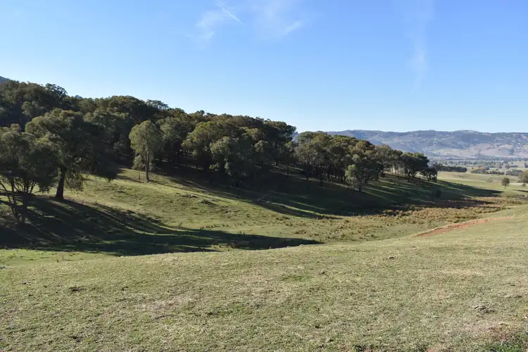 Second view of Homely rural property listing, LOT 1 Shelley Road, Walwa VIC 3709