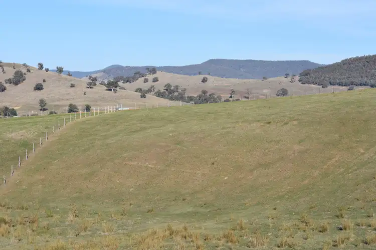 Fourth view of Homely rural property listing, LOT 1 Shelley Road, Walwa VIC 3709