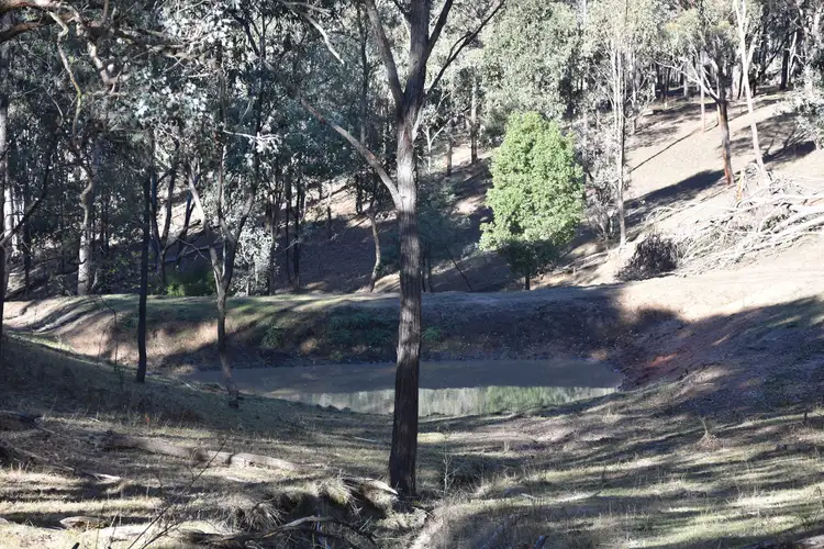 Fifth view of Homely rural property listing, LOT 1 Shelley Road, Walwa VIC 3709