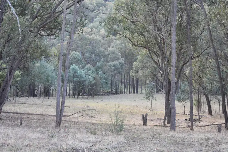 Sixth view of Homely rural property listing, LOT 1 Shelley Road, Walwa VIC 3709