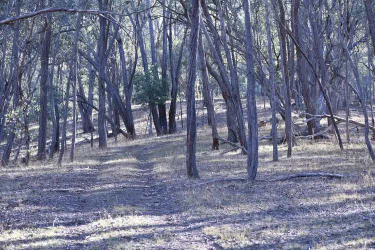 Seventh view of Homely rural property listing, LOT 1 Shelley Road, Walwa VIC 3709