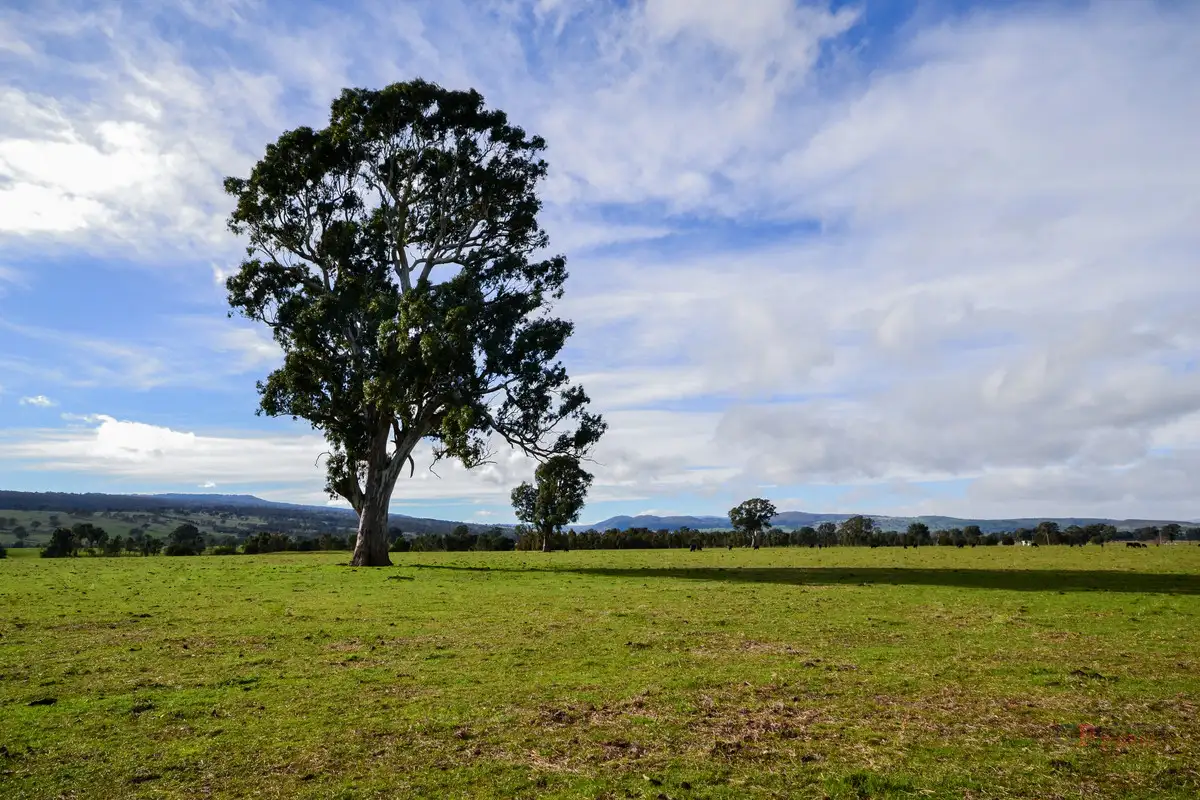 Main view of Homely rural property listing, LOT 1 & 2 Long Lane, Barwite VIC 3722