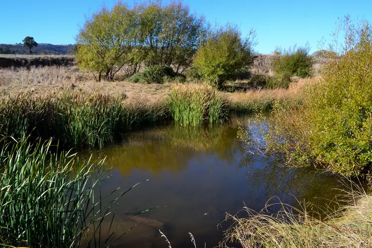 Sixth view of Homely rural property listing, LOT 1 & 2 Long Lane, Barwite VIC 3722