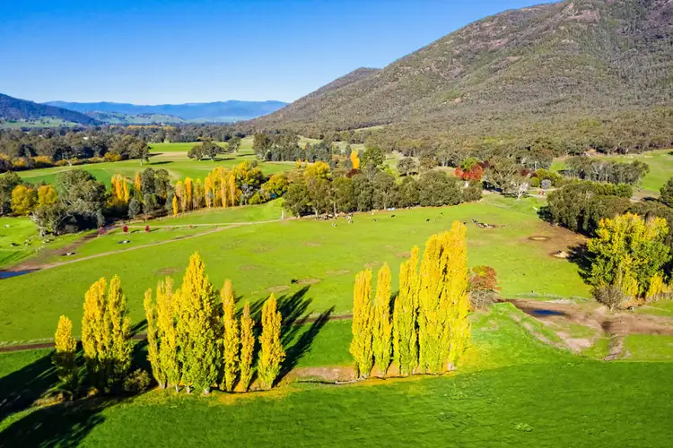Seventh view of Homely rural property listing, 10087 Murray River Road, Pine Mountain VIC 3709
