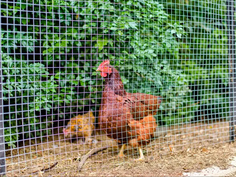 Third view of Homely house listing, 15 (13A) Egbert Street, West End QLD 4101