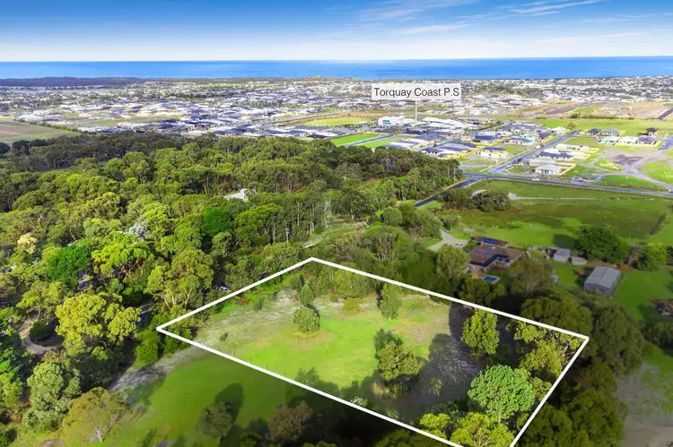 25 Sagittarius Street, Torquay VIC 3228