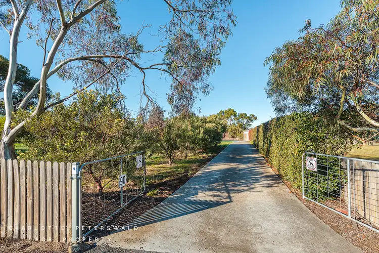 Main view of Homely house listing, 90 White Kangaroo Road, Campania TAS 7026