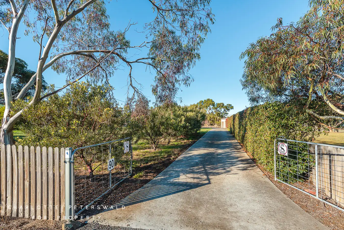 Main view of Homely house listing, 90 White Kangaroo Road, Campania TAS 7026
