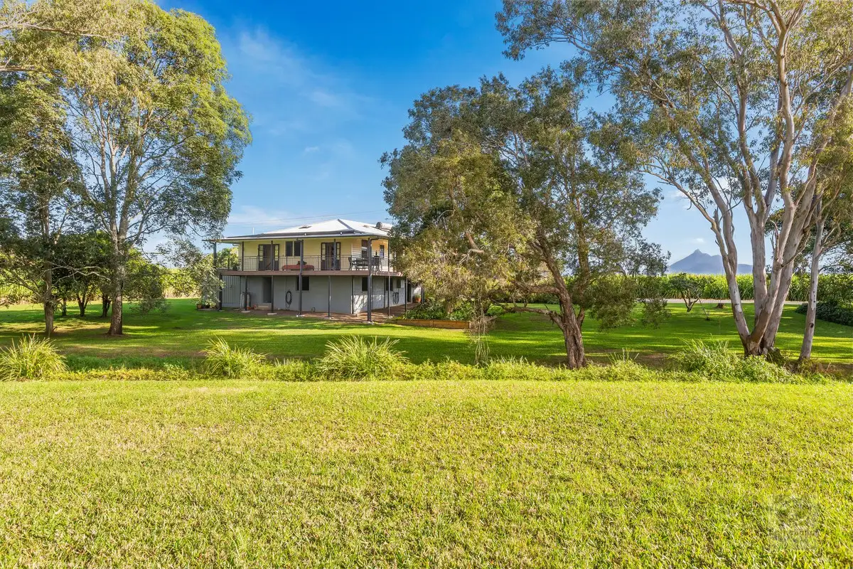 Main view of Homely house listing, 129 Clothiers creek Road, Nunderi NSW 2484