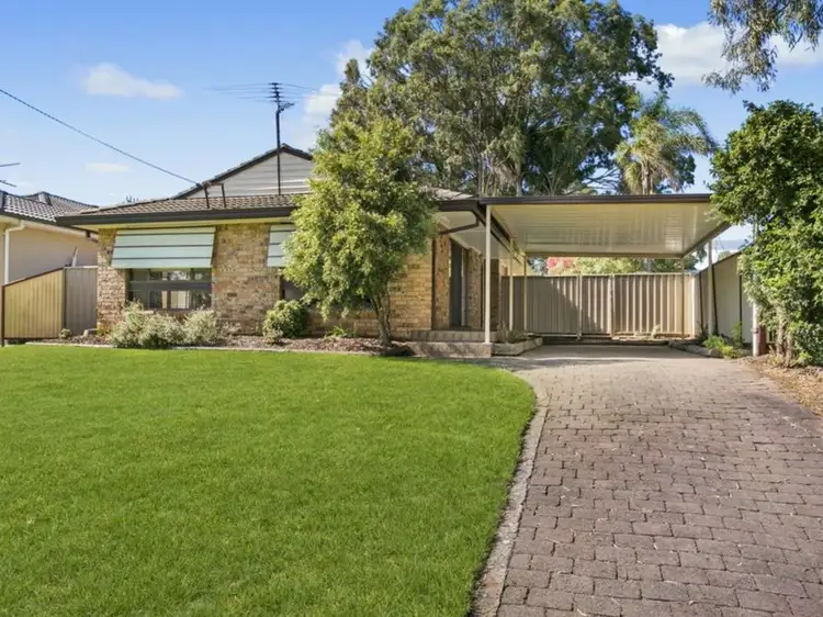Main view of Homely house listing, 3 Bligh Avenue, Camden South NSW 2570