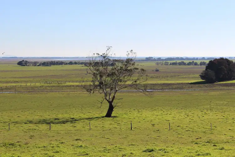 Second view of Homely rural property listing, 1320 Princes Highway, Pirron Yallock VIC 3249