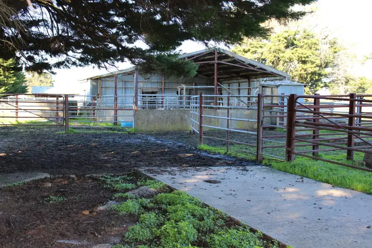 Fourth view of Homely rural property listing, 1320 Princes Highway, Pirron Yallock VIC 3249