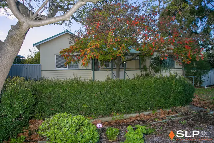Main view of Homely house listing, 16 Dann Court, Willagee WA 6156