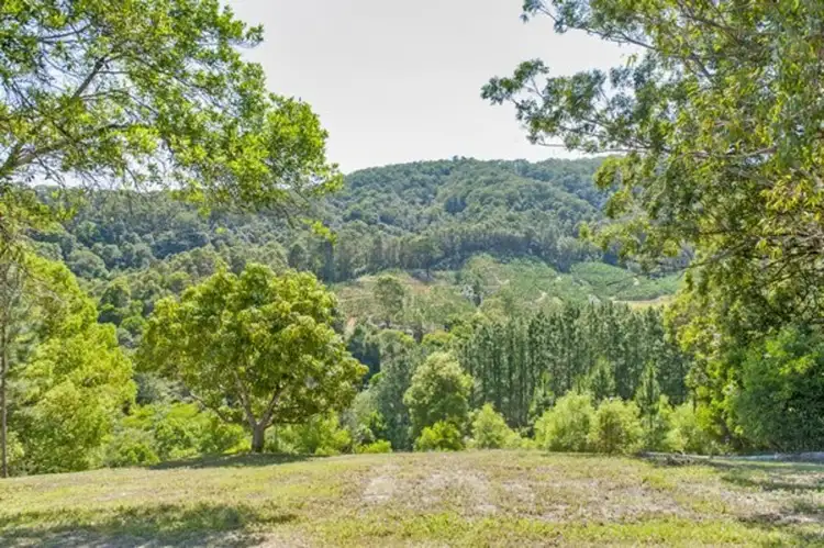 Sixth view of Homely rural property listing, 390 Fernvale Road, Murwillumbah NSW 2484