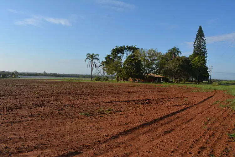Main view of Homely rural property listing, 115 McDonalds Road, Farnsfield QLD 4660