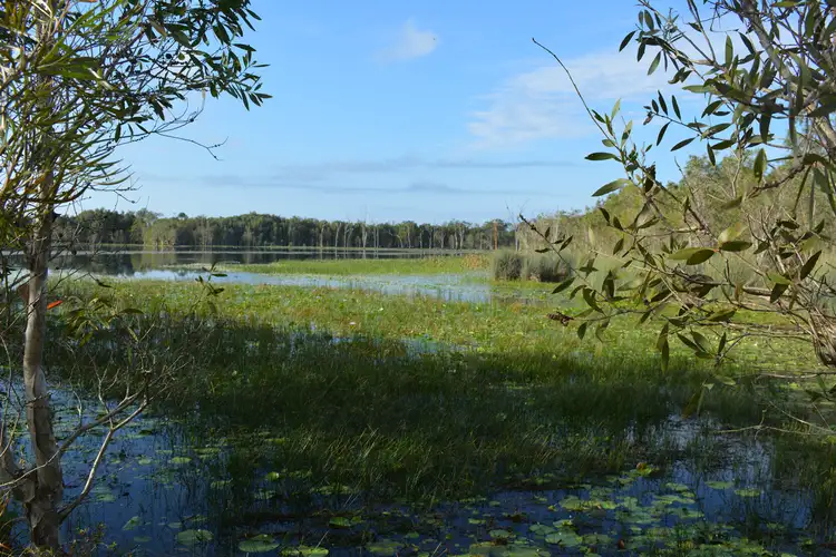Second view of Homely rural property listing, 115 McDonalds Road, Farnsfield QLD 4660