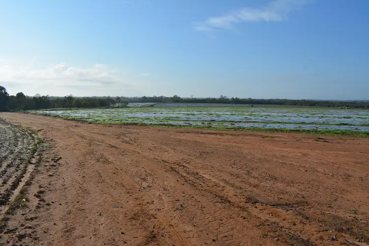 Fifth view of Homely rural property listing, 115 McDonalds Road, Farnsfield QLD 4660