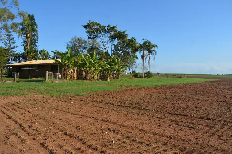 Sixth view of Homely rural property listing, 115 McDonalds Road, Farnsfield QLD 4660