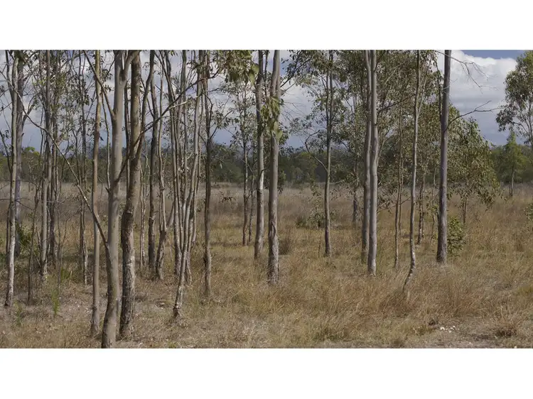 Sixth view of Homely rural property listing, 2 Main Greenswamp Road, Lake Clarendon QLD 4343