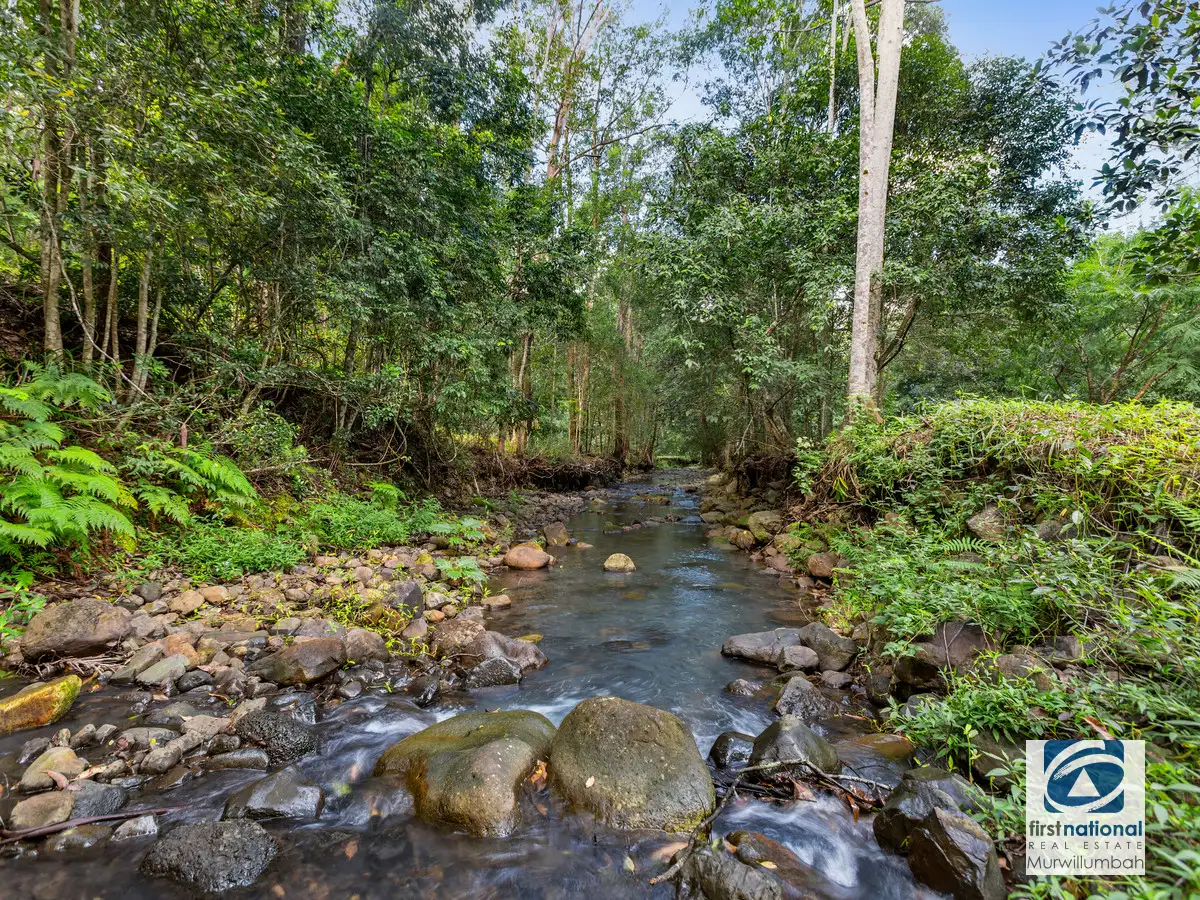 Main view of Homely rural property listing, 2038 numinbah Road, Numinbah NSW 2484