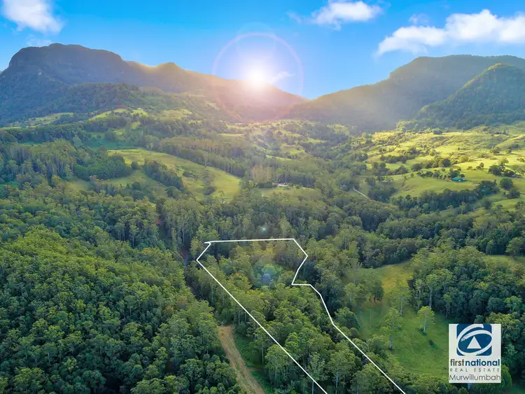 Third view of Homely rural property listing, 2038 numinbah Road, Numinbah NSW 2484