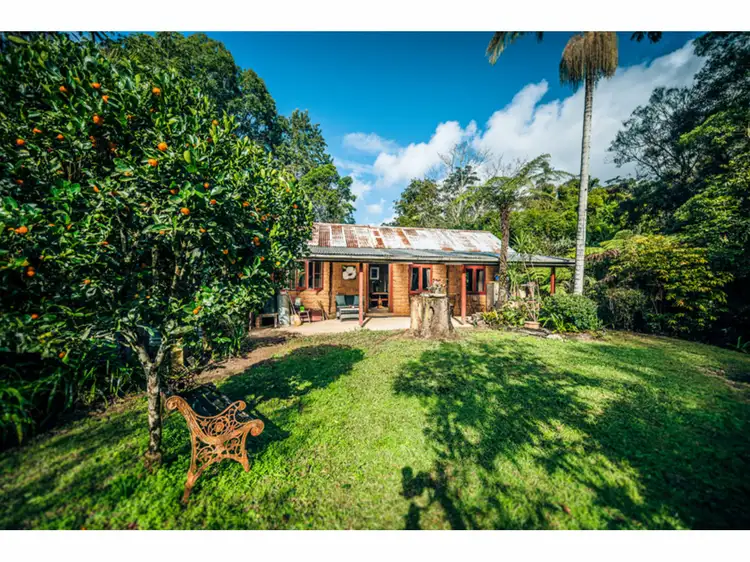 1245 Kalang Road, Bellingen NSW 2454
