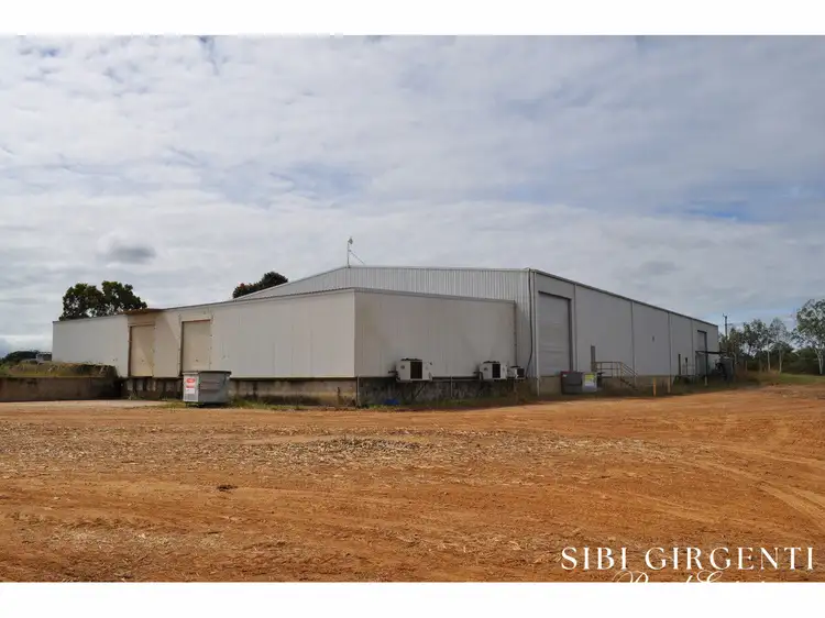 Third view of Homely rural property listing, 341 Mulligan Highway, Mareeba QLD 4880
