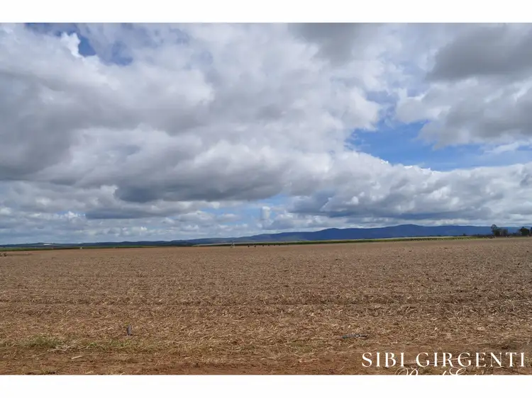 Fifth view of Homely rural property listing, 341 Mulligan Highway, Mareeba QLD 4880