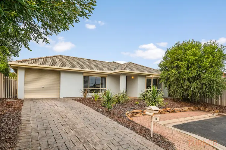 16 Timothy Court, Mitchell Park SA 5043