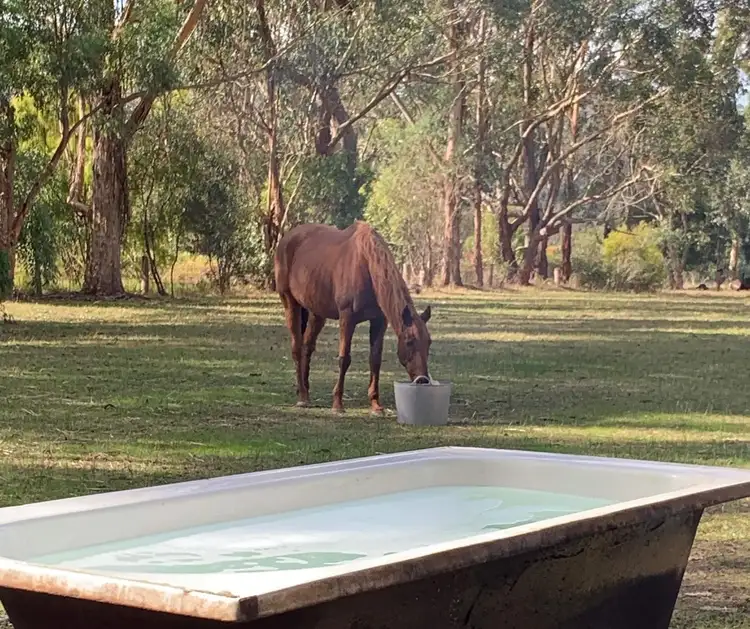 135 Old Beech Forest Road, Gellibrand VIC 3239