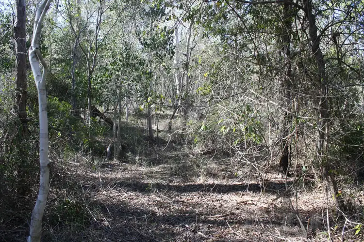 Fifth view of Homely rural property listing, LOT 47 Lagoons Road, Good Night QLD 4671