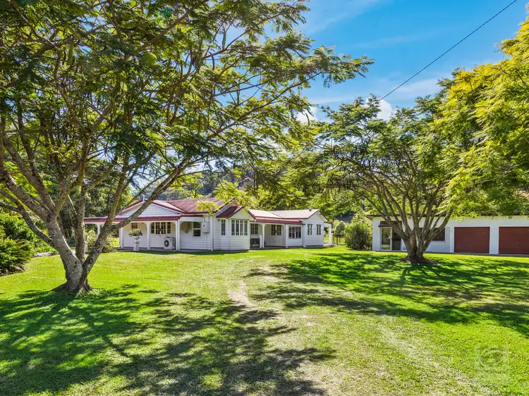 Main view of Homely rural property listing, 964 Numinbah Road, Crystal Creek NSW 2484
