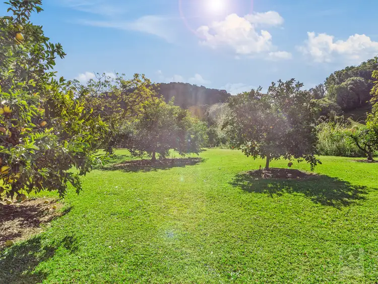Second view of Homely rural property listing, 964 Numinbah Road, Crystal Creek NSW 2484