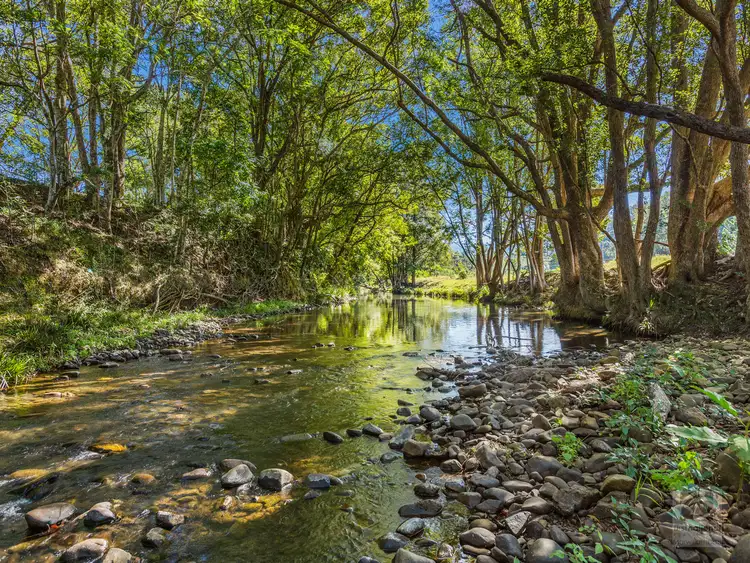 Third view of Homely rural property listing, 964 Numinbah Road, Crystal Creek NSW 2484