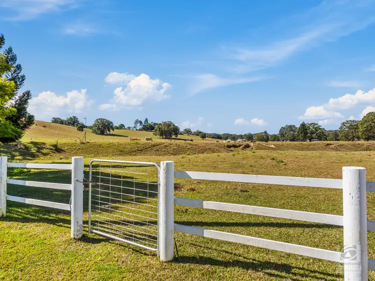 Fourth view of Homely rural property listing, 964 Numinbah Road, Crystal Creek NSW 2484