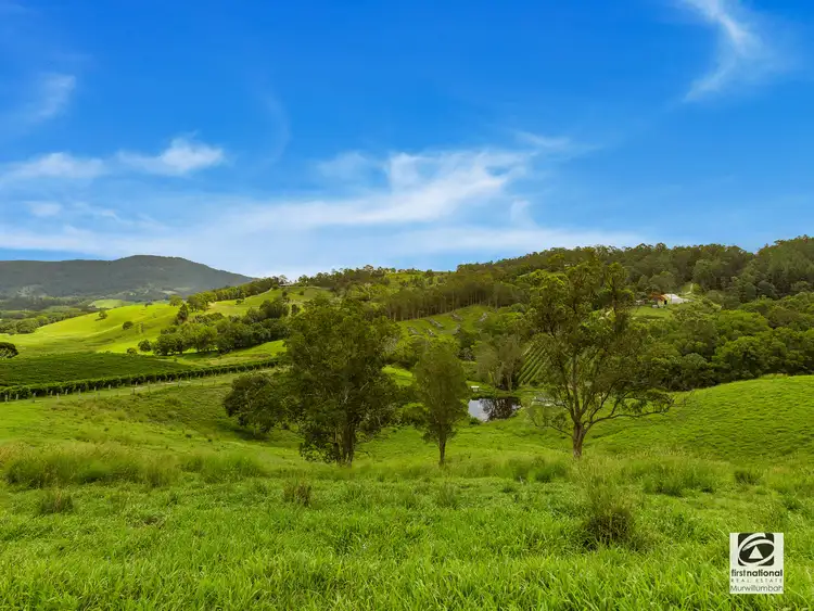 Fourth view of Homely rural property listing, 7221 Tweed Valley Way, Fernvale, Murwillumbah NSW 2484