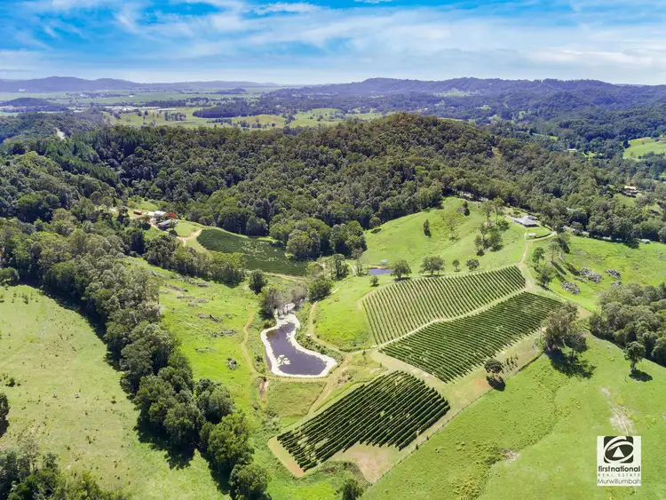 Fifth view of Homely rural property listing, 7221 Tweed Valley Way, Fernvale, Murwillumbah NSW 2484