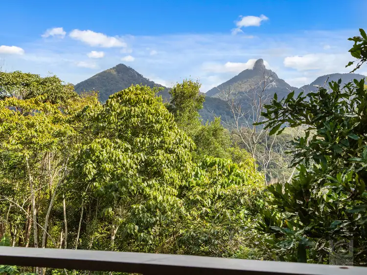 Second view of Homely rural property listing, 19 McCallum Place, Uki NSW 2484