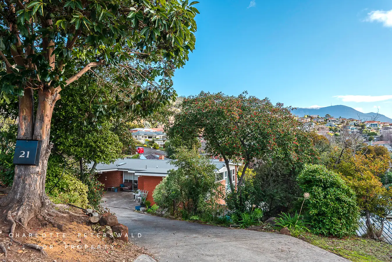 Main view of Homely house listing, 21 Wayne Avenue, Sandy Bay TAS 7005