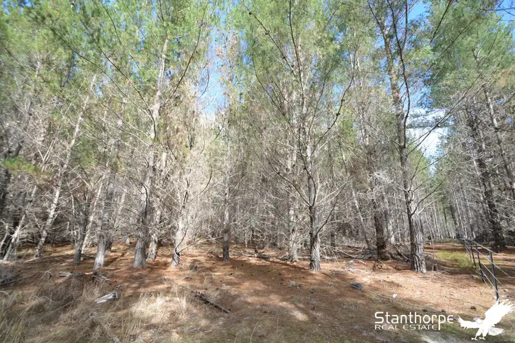 LOT 247 Radiata Close, Sugarloaf QLD 4380