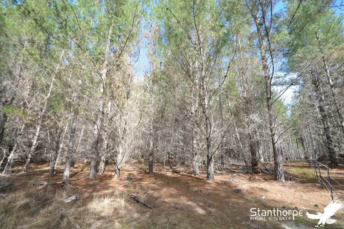 Main view of Homely rural property listing, LOT 247 Radiata Close, Sugarloaf QLD 4380