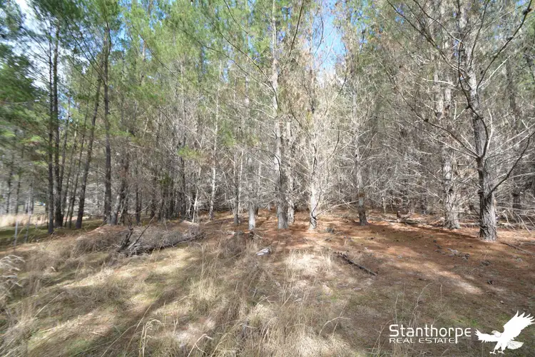 Second view of Homely rural property listing, LOT 247 Radiata Close, Sugarloaf QLD 4380