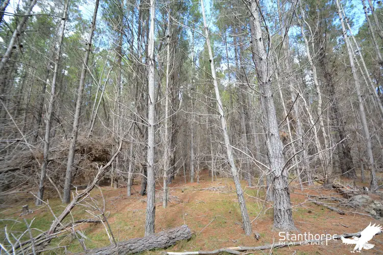 Third view of Homely rural property listing, LOT 247 Radiata Close, Sugarloaf QLD 4380